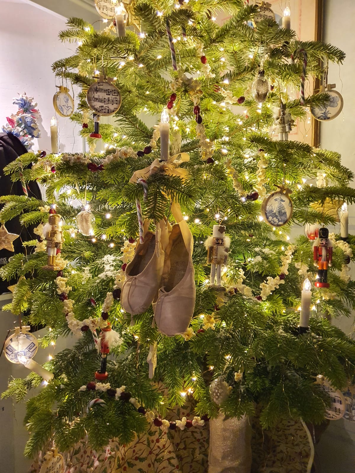 Caring For You Christmas Tree Sholach Christmas Trees