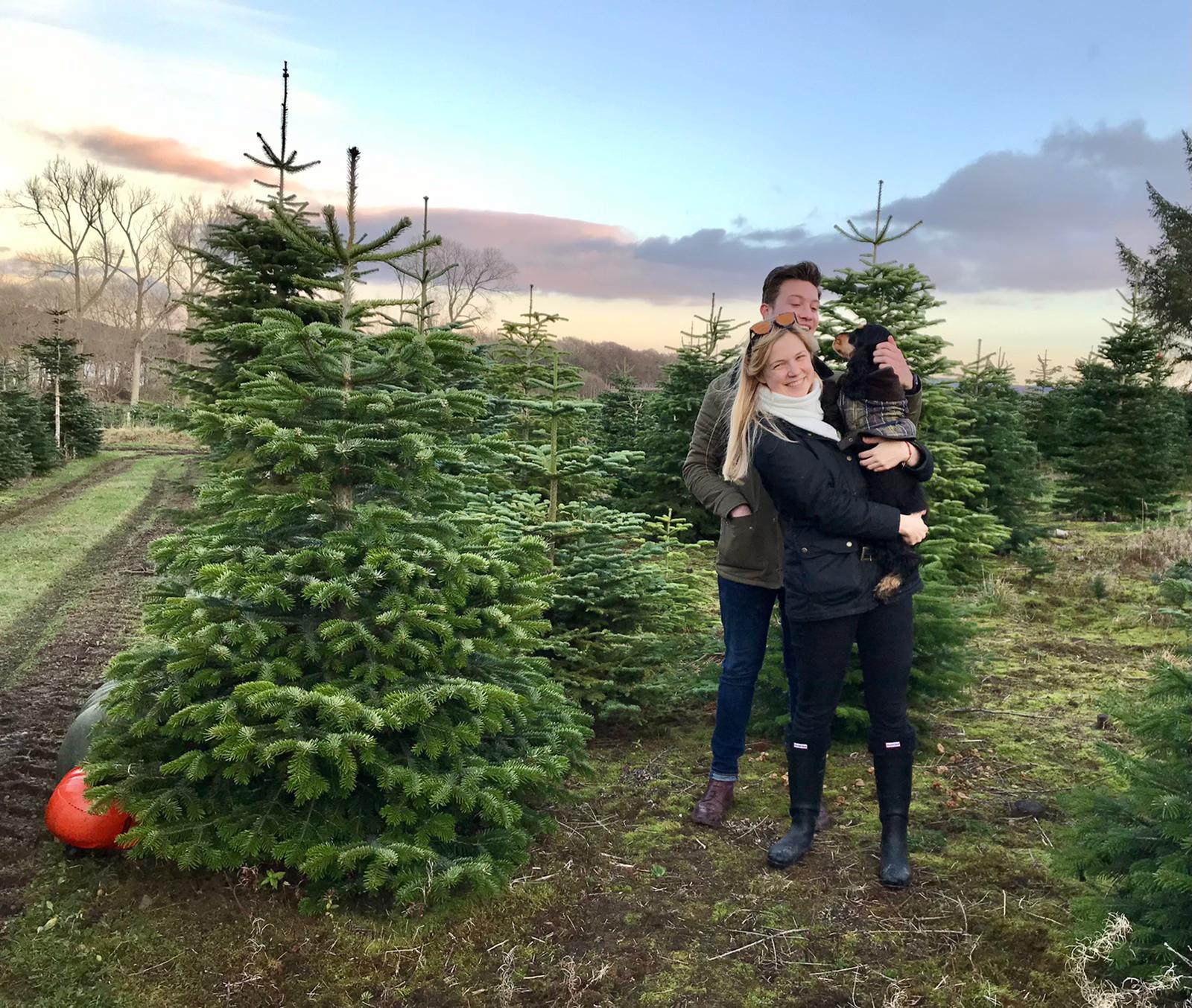 Family day out to our Christmas tree farm to pick your tree from the field