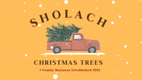 Sholach Christmas Trees