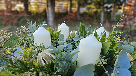 Citrus & Evergreen Mist Advent/Table Centre Decoration - Image 2
