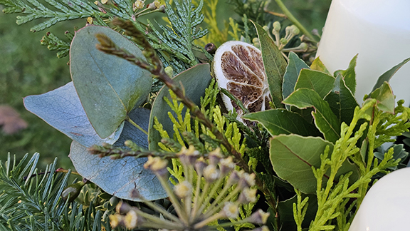 Citrus & Evergreen Mist Advent/Table Centre Decoration - Image 3