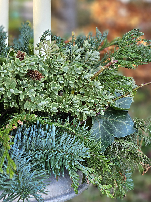 Winter's Gather Advent/Table Centre Decoration - Image 2